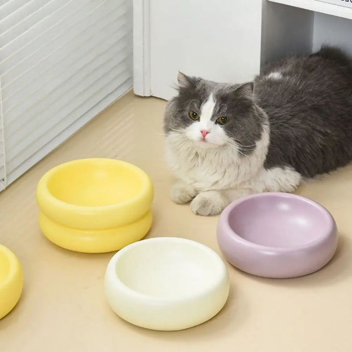 Ergonomische keramieken voerbak voor katten en honden, stijlvol Scandinavisch design.
