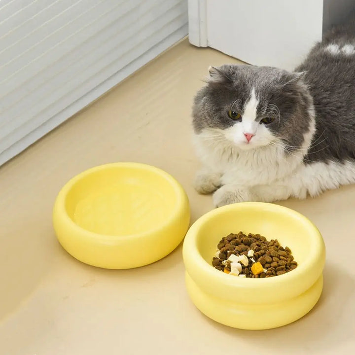 Duurzame keramiek voerbak voor katten en honden; ideaal voor voeding en water.