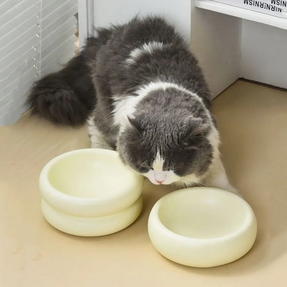 Stijlvolle, ergonomische keramiek voerbak voor comfortabel eten van katten en honden.