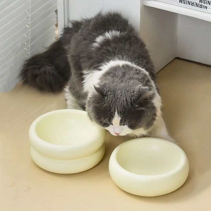Stijlvolle, ergonomische keramiek voerbak voor comfortabel eten van katten en honden.