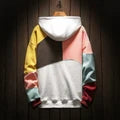 Achteraanzicht van de kleurrijke heren hoodie