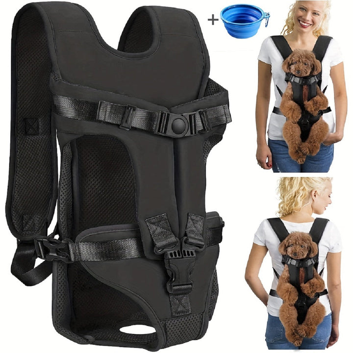 Gelukkige hond in comfortabele hondenrugzak tijdens wandeling. Handsfree avontuur voor kleine/middelgrote honden.