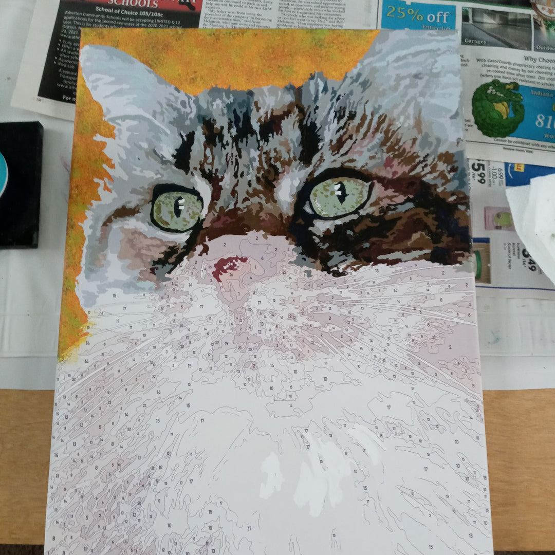 Prachtig eindresultaat: jouw foto omgezet in een schilderij op nummer kunstwerk op kwaliteitsvol canvas.
