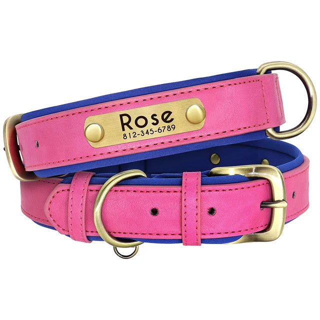 Close-up van luxe leren hondenhalsband met duidelijk leesbaar gegraveerd naamplaatje, voor extra veiligheid.