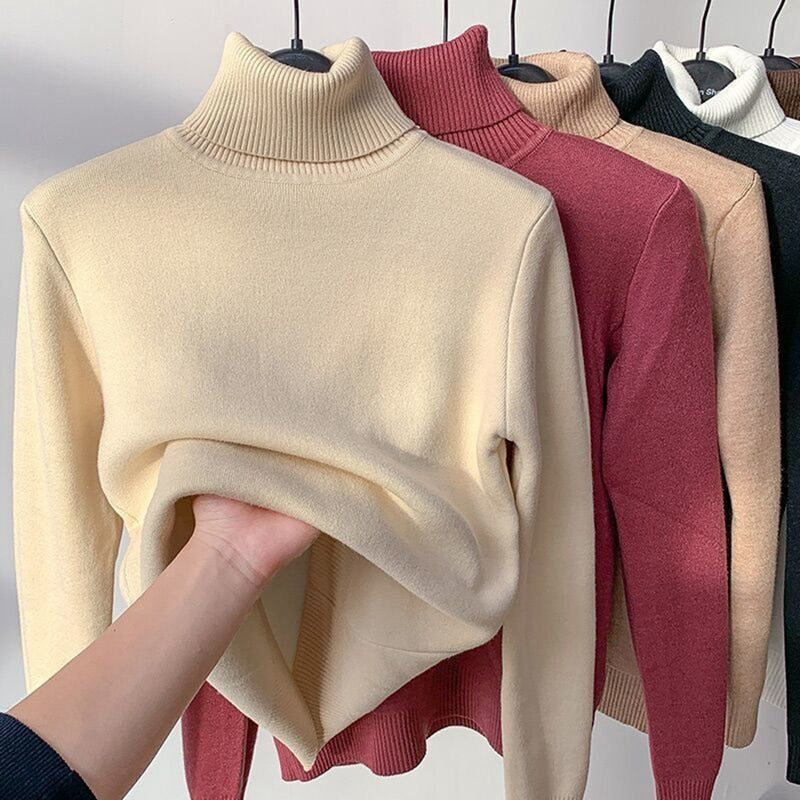Veelzijdige dames trui, gevoerd voor warmte en comfort; essentiële winterkleding voor elke vrouw.