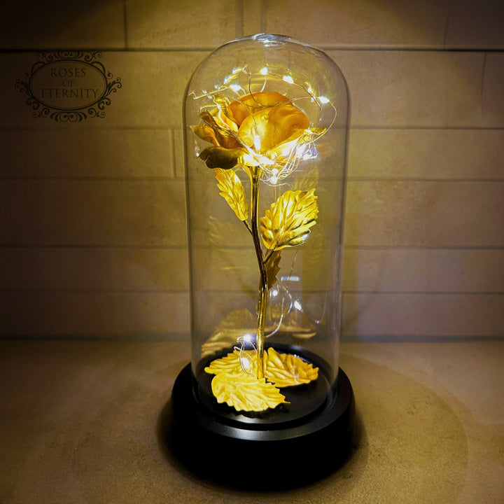 Rode eeuwige roos onder stolp met gouden accenten en LED verlichting als unieke woondecoratie