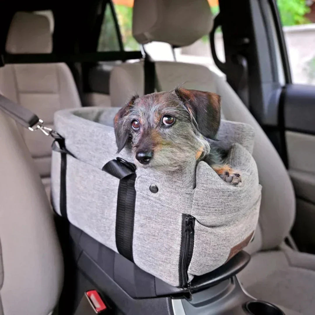 PawVoyage honden autostoeltje geïnstalleerd in auto. Veilig reizen voor huisdieren met dit comfortabele grijze carpoolzitje.