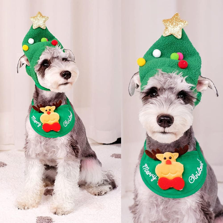Feestelijke huisdier kerstmuts in groen en wit. Schattige accessoire voor katten en honden tijdens de feestdagen.