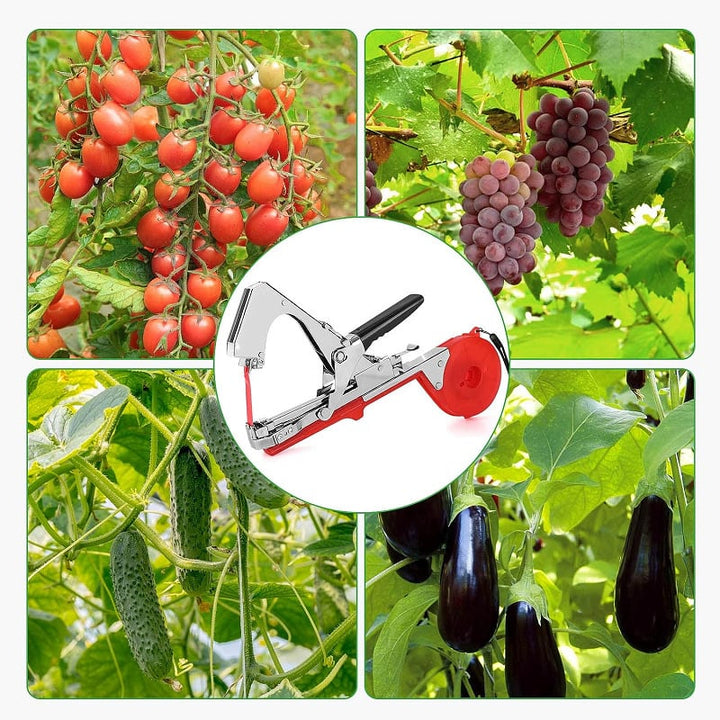 Detailfoto van StemTie bindmachine in gebruik bij klimplanten, groenten of fruit. Efficiënt voor tuinieren.