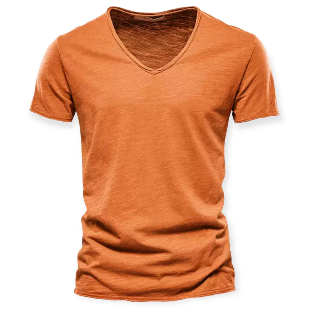 Meerkleurig heren V-hals T-shirt. Een veelzijdig comfort T-shirt voor elke gelegenheid.