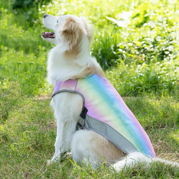Honden koelvest: UV-werende zonbescherming & comfort voor zomerse dagen. Essentieel voor actieve huisdieren buiten.