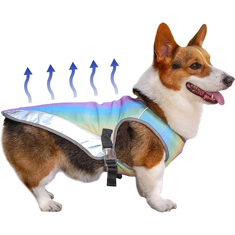 Ademend honden koelvest voor effectieve verkoeling. Hittebestendig & UV-werend, perfect voor veilige zomerdagen.