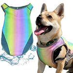 Regenboog