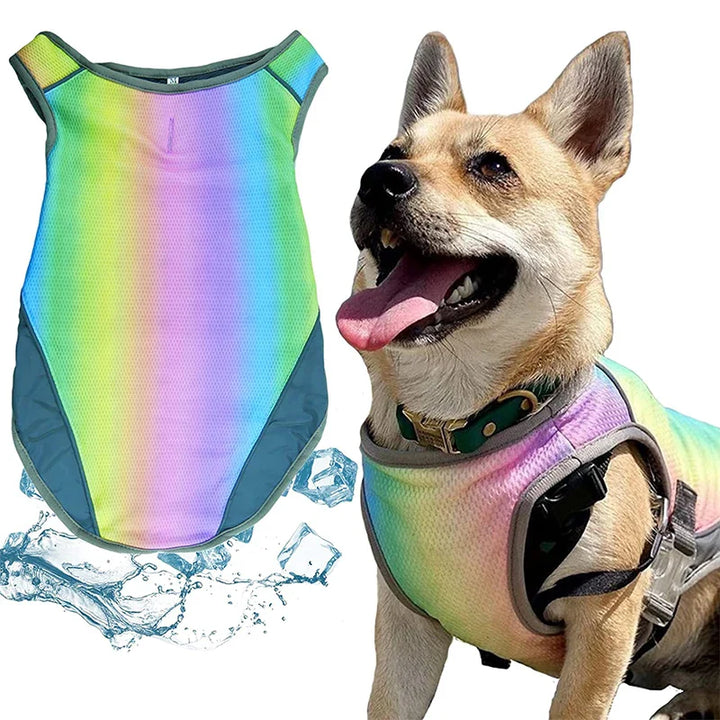 Blauw honden koelvest houdt actieve hond koel en beschermd tegen zon tijdens zomerse wandelingen of spelen buiten.