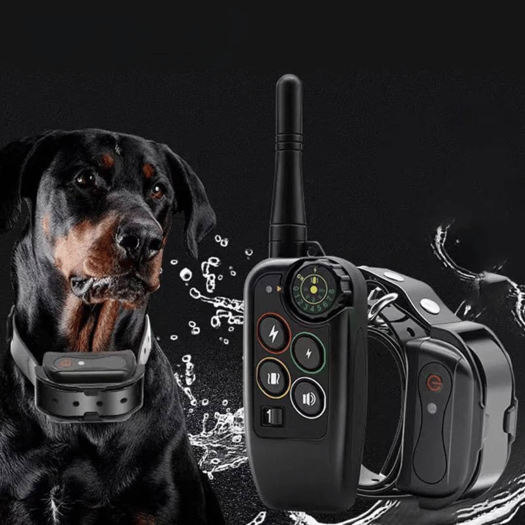 Ergonomische afstandsbediening voor honden trainings E-collar, met 1000m bereik, voor effectieve gehoorzaamheidstraining.