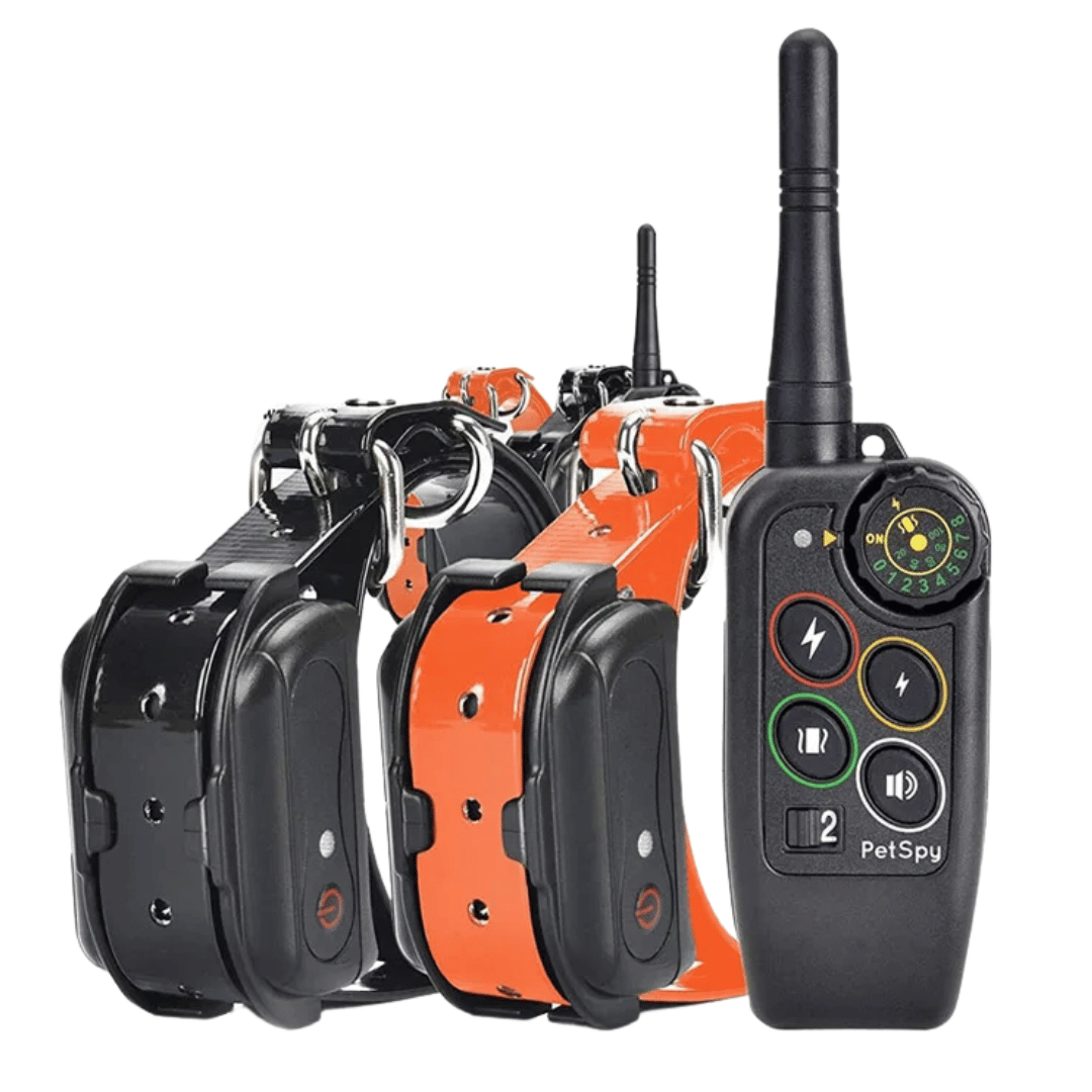 Waterdichte E-collar voor hondentraining, ideaal voor buitengebruik en geavanceerde gehoorzaamheidstraining van uw huisdier.