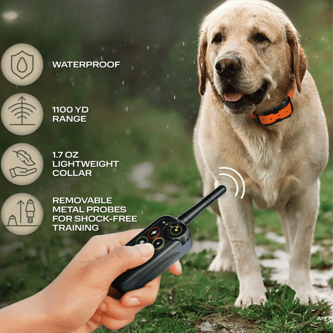 Robuuste waterdichte honden trainingshalsband en afstandsbediening, perfect voor training in alle weersomstandigheden.