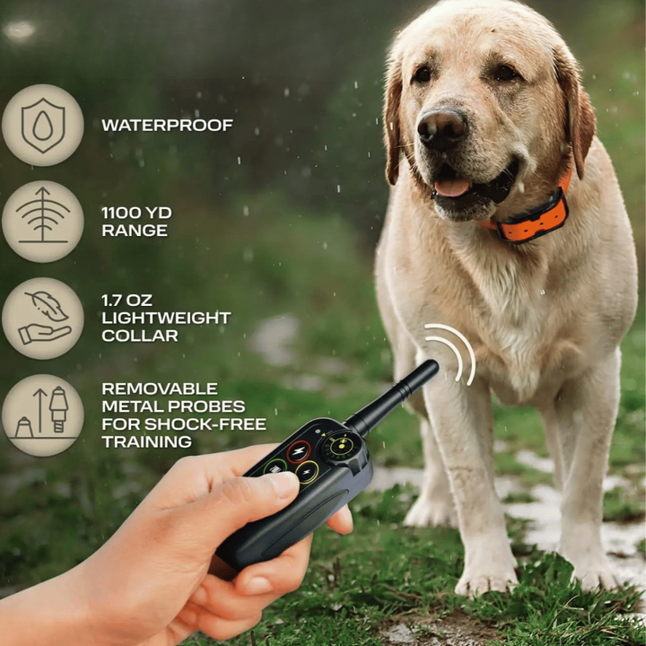 Robuuste waterdichte honden trainingshalsband en afstandsbediening, perfect voor training in alle weersomstandigheden.
