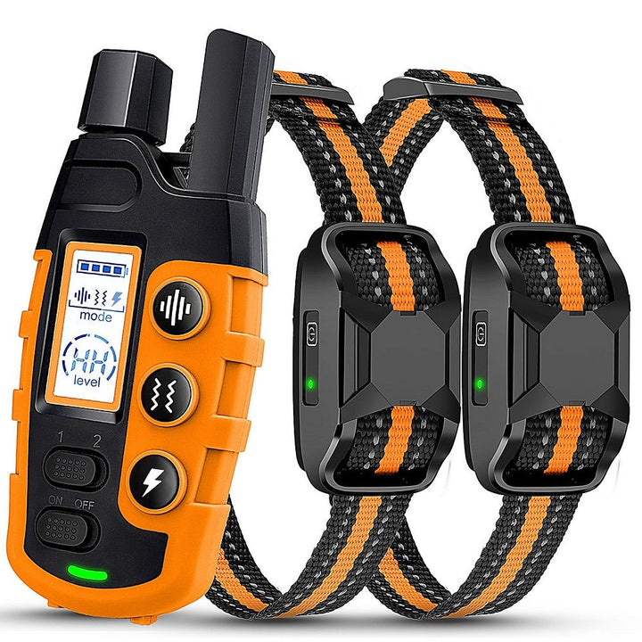 Hond traint met waterdichte trainingshalsband, gebruikt afstandsbediening voor gehoorzaamheid.