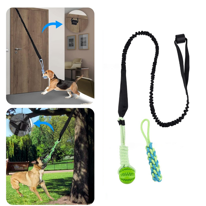 Duurzaam kauwspeeltje van nylon voor actief binnen- en buitenspel, voorkomt verveling bij honden.
