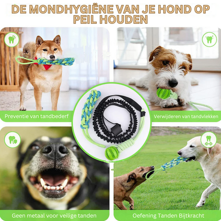 Robuust nylon trekspeeltje, perfect voor puppy's en honden, stimuleert actief spel en vermindert stress.