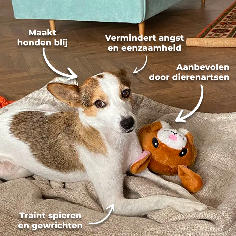 Duurzaam interactief hondenspeeltje dat trilt en piept, voor uren speelplezier van uw hond.