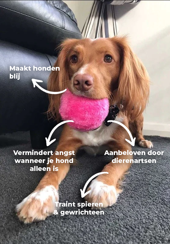 Interactieve speelbal voor honden, helpt tegen verveling & stress. Duurzaam hondenspeelgoed voor uren speelplezier.