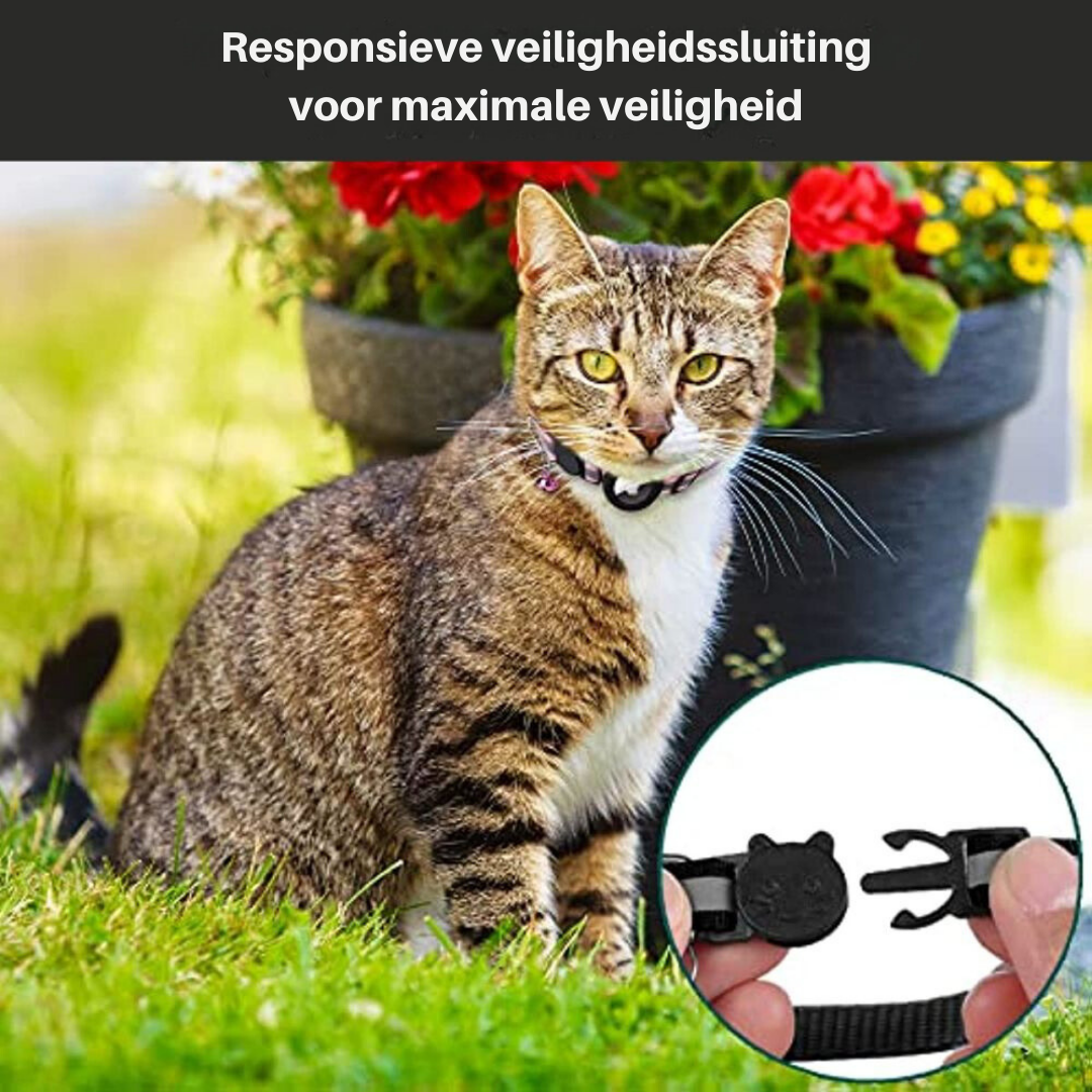 Praktische kattenhalsband met vak voor GPS-tracker en veilige gesp. Belangrijke kattenbenodigdheden.