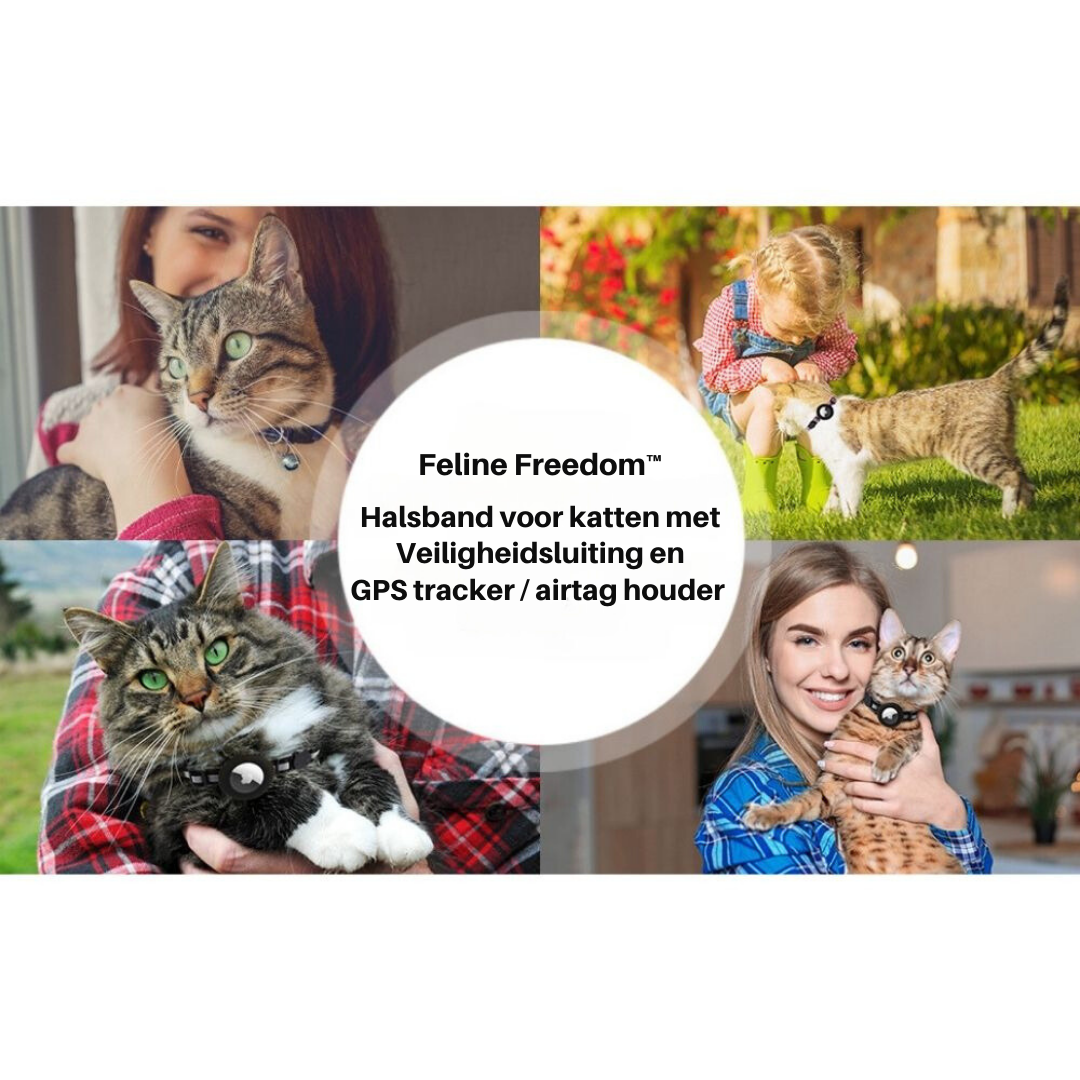 Huisdier accessoires: duurzame kattenhalsband met veiligheidssluiting en ruimte voor GPS-module.