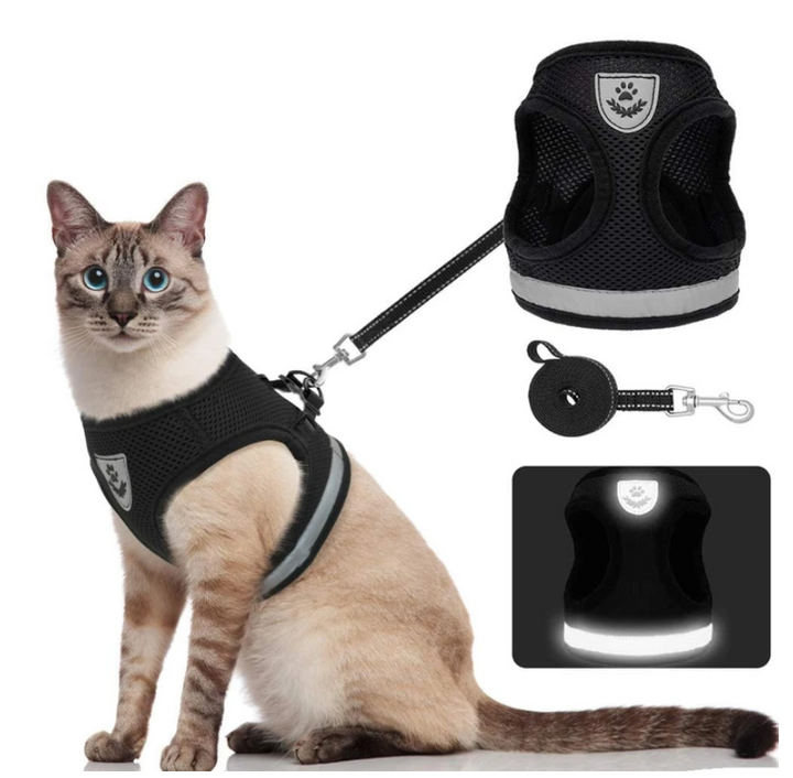Kattentuigje met lijn AdventureKit voor veilige wandelingen, comfortabel en verstelbaar voor huisdieren.