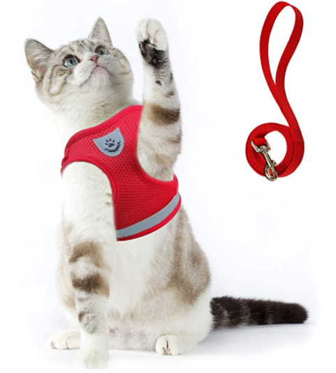 Veelzijdig kattentuigje met lijn, verstelbaar voor verschillende katten, garandeert veilige wandelingen.