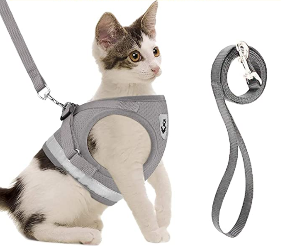 Nieuw AdventureKit kattentuigje met lijn in verpakking, klaar voor veilige en comfortabele wandelingen.
