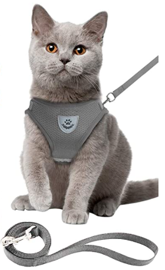 Gemakkelijk aan te trekken kattentuigje met lijn, maakt veilige en comfortabele wandelingen mogelijk.
