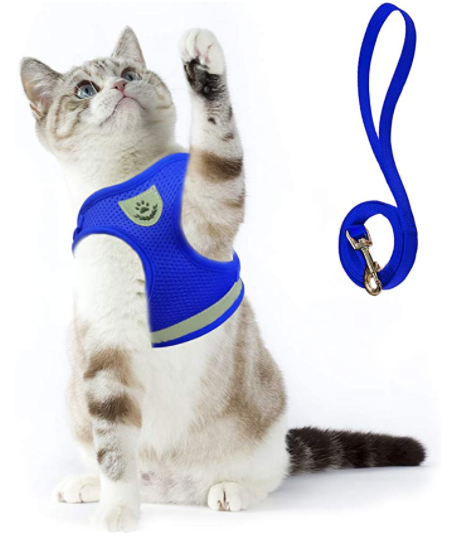 AdventureKit: veilig, comfortabel en verstelbaar kattentuigje met reflecterende lijn voor elke wandeling.