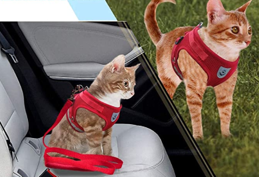 AdventureKit kattentuigje met lijn; perfect voor veilige buitenavonturen en wandelingen met uw huisdier.