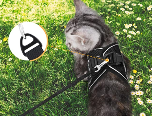 Stevig kattentuigje met lijn, ergonomisch ontworpen voor comfort en veiligheid tijdens het wandelen.