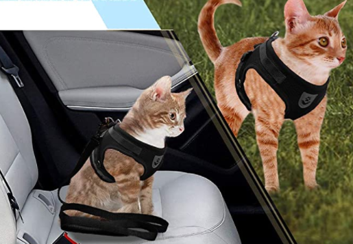 Kat draagt AdventureKit kattentuigje met lijn, klaar voor veilige en comfortabele wandeling in de natuur.