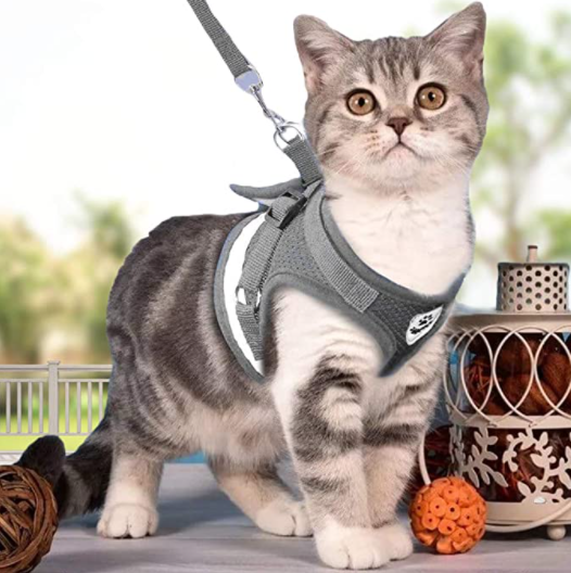 Verstelbaar kattentuigje met bijpassende lijn, zorgt voor perfecte pasvorm en veilige wandelingen voor elke kat.