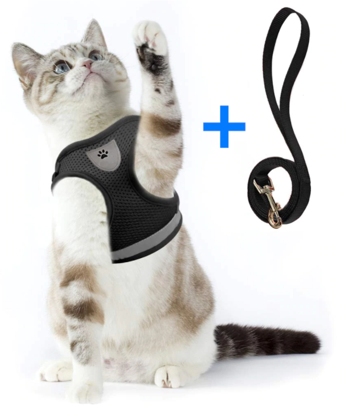 AdventureKit kattentuigje met lijn voor veilige, comfortabele wandelingen. Essentieel huisdier accessoire.