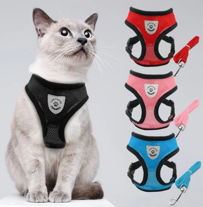Voorkom ontsnappingen met dit veilige kattentuigje en lijn, speciaal voor ontspannen buitenwandelingen.