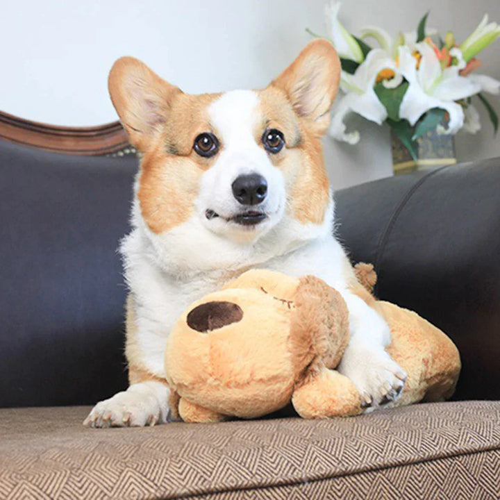 KnuffelBuddy hondenspeeltje vermindert verlatingsangst, biedt warmte en een gesimuleerde hartslag voor honden.