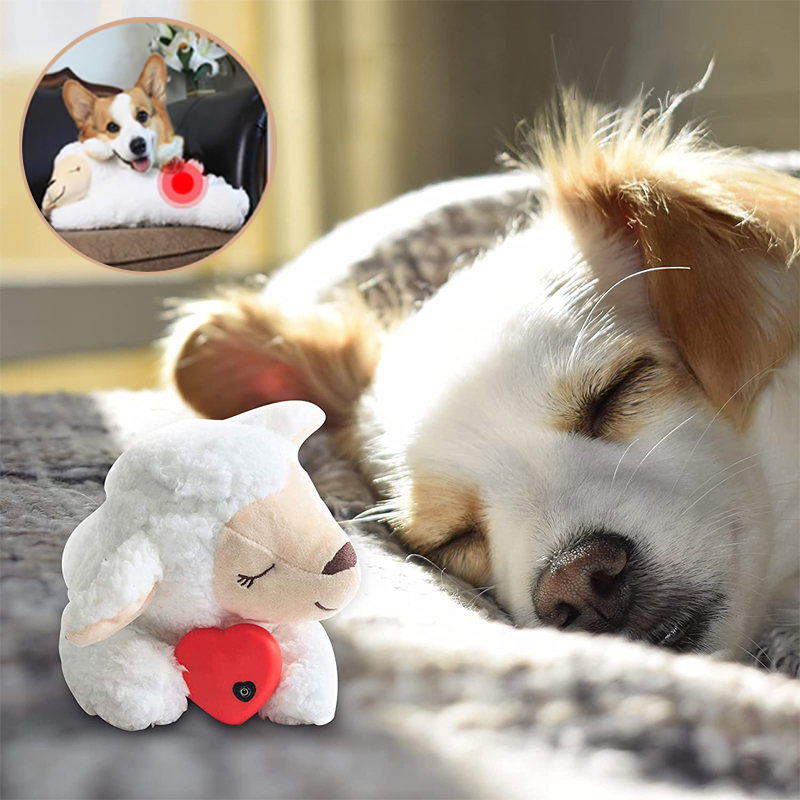 KnuffelBuddy hondenspeeltje in bench, biedt veilige, kalmerende rust voor honden met vuurwerkangst.