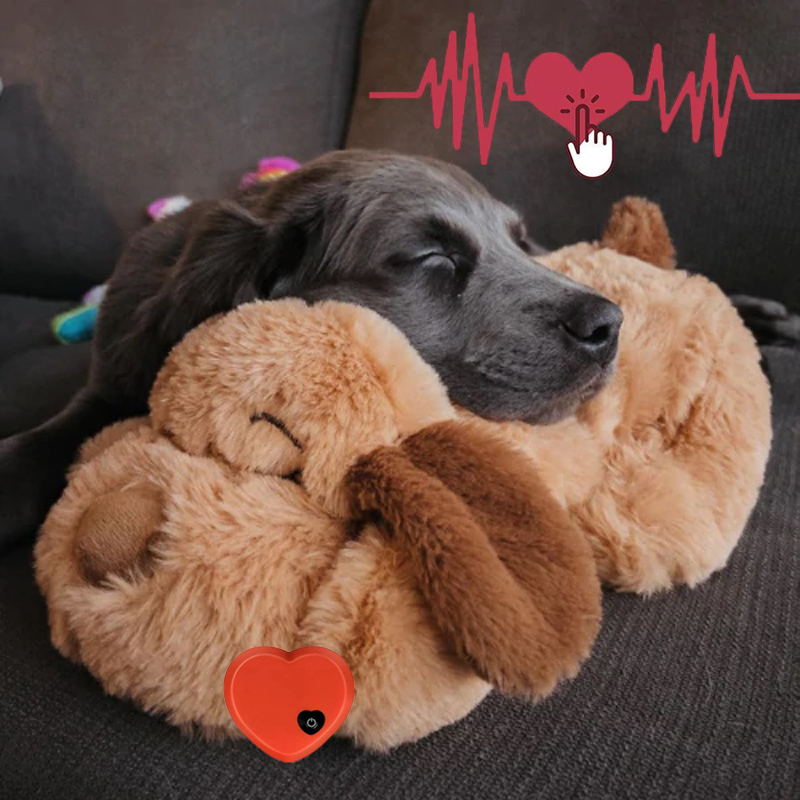 Superzacht pluche KnuffelBuddy hondenknuffel, wasbaar en perfect voor angstvermindering bij huisdieren.