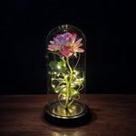 Roze Roos