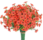 Oranje