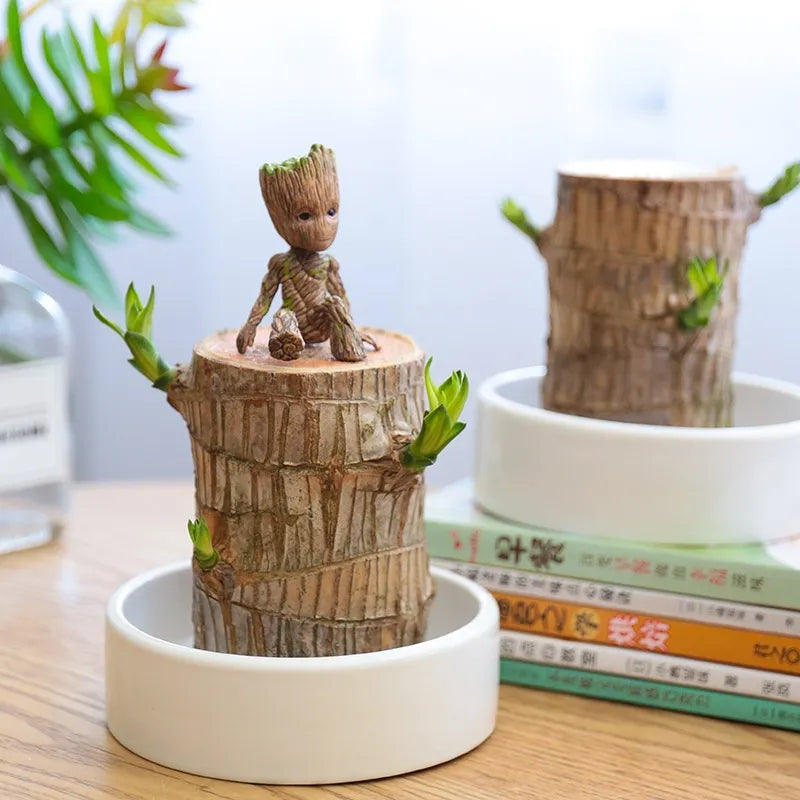 Luchtzuiverende kamerplant die rust en elegantie toevoegt aan elk interieur, ideaal voor een groene sfeer.