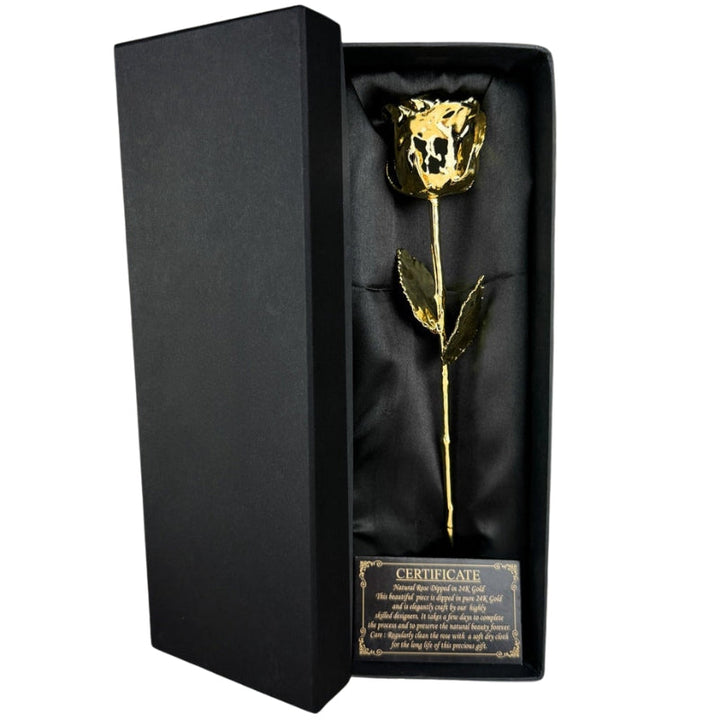 Luxe gouden roos, een eeuwig symbool van liefde en waardering. Perfect geschenk voor Valentijn of Moederdag.