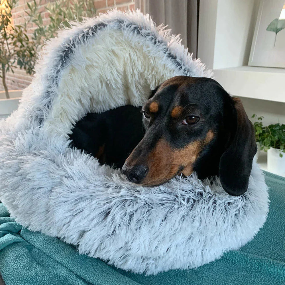 Orthopedisch hondenbed, ideaal voor gewrichten. Comfortabele en warme slaapplek voor oudere of actieve honden.