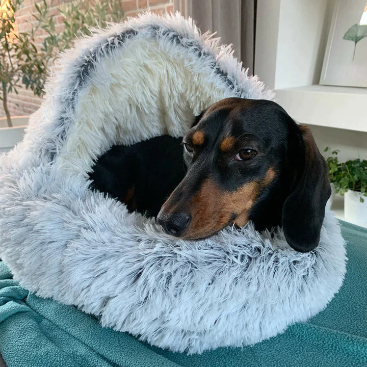 Orthopedisch hondenbed, ideaal voor gewrichten. Comfortabele en warme slaapplek voor oudere of actieve honden.