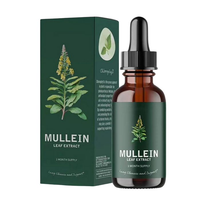 Mullein Longondersteuning tinctuur: natuurlijk kruidensupplement voor schone luchtwegen & longgezondheid.